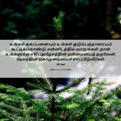 Picture 06 - ஆதியாகமம் 45:18 TAMIRV - உங்கள் - Bible Verse Picture