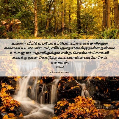 Picture 06 - ஆதியாகமம் 45:20 TAMIRV - உங்கள் வீட்டு - Bible Verse Picture