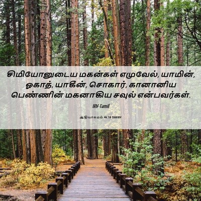 Picture 06 - ஆதியாகமம் 46:10 TAMIRV - சிமியோனுடைய - Bible Verse Picture