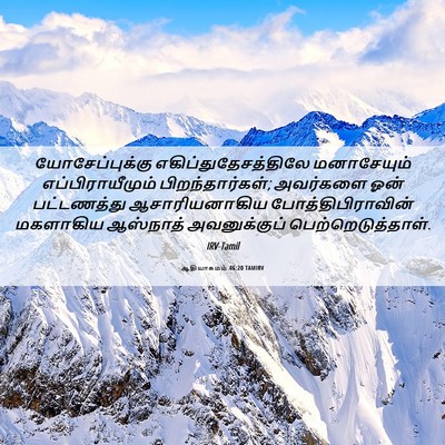 Picture 06 - ஆதியாகமம் 46:20 TAMIRV - யோசேப்புக்கு - Bible Verse Picture