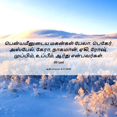 Picture 06 - ஆதியாகமம் 46:21 TAMIRV - பென்யமீனுடைய - Bible Verse Picture