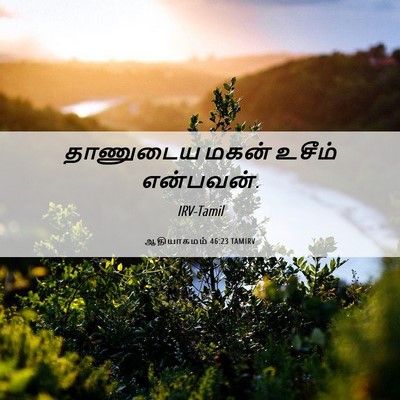 Picture 06 - ஆதியாகமம் 46:23 TAMIRV - தாணுடைய மகன் - Bible Verse Picture