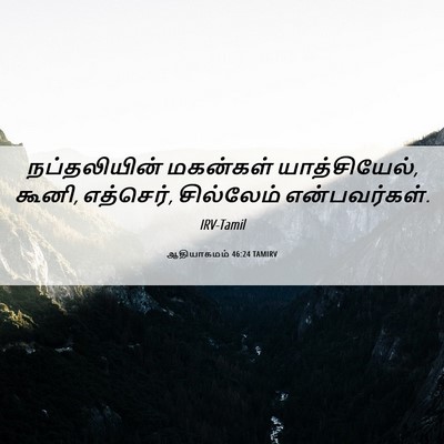 Picture 06 - ஆதியாகமம் 46:24 TAMIRV - நப்தலியின் - Bible Verse Picture