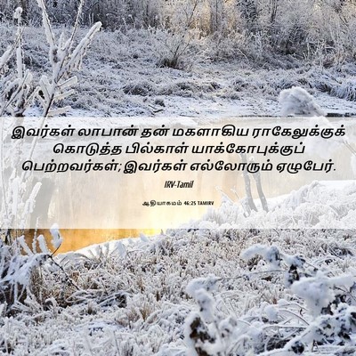 Picture 06 - ஆதியாகமம் 46:25 TAMIRV - இவர்கள் லாபான் - Bible Verse Picture