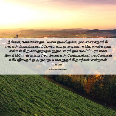 Picture 06 - ஆதியாகமம் 46:34 TAMIRV - நீங்கள், கோசேன் - Bible Verse Picture