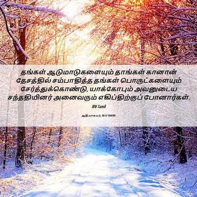 Picture 06 - ஆதியாகமம் 46:6 TAMIRV - தங்கள் - Bible Verse Picture