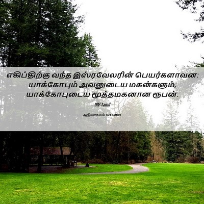 Picture 06 - ஆதியாகமம் 46:8 TAMIRV - எகிப்திற்கு வந்த - Bible Verse Picture