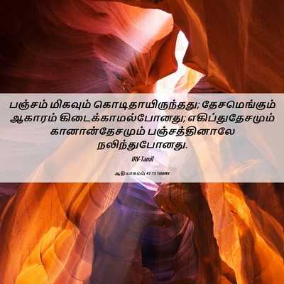 Picture 06 - ஆதியாகமம் 47:13 TAMIRV - பஞ்சம் மிகவும் - Bible Verse Picture