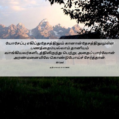 Picture 06 - ஆதியாகமம் 47:14 TAMIRV - யோசேப்பு - Bible Verse Picture