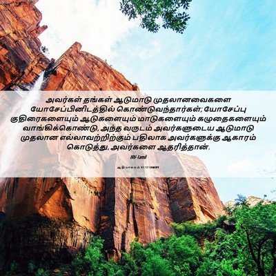 Picture 06 - ஆதியாகமம் 47:17 TAMIRV - அவர்கள் தங்கள் - Bible Verse Picture