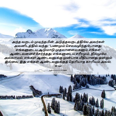 Picture 06 - ஆதியாகமம் 47:18 TAMIRV - அந்த வருடம் - Bible Verse Picture