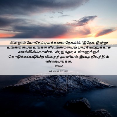 Picture 06 - ஆதியாகமம் 47:23 TAMIRV - பின்னும் யோசேப்பு - Bible Verse Picture