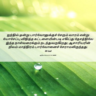 Picture 06 - ஆதியாகமம் 47:26 TAMIRV - ஐந்தில் ஒன்று - Bible Verse Picture