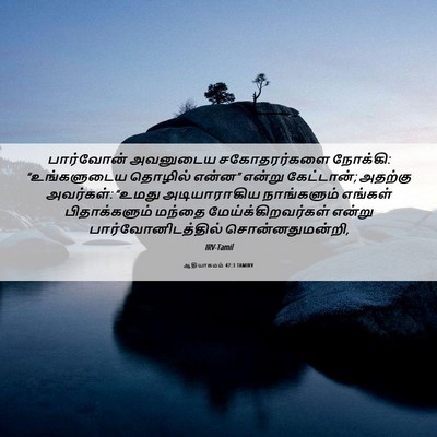 Picture 06 - ஆதியாகமம் 47:3 TAMIRV - பார்வோன் அவனுடைய - Bible Verse Picture