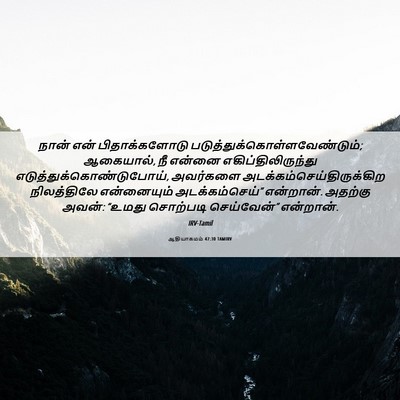 Picture 06 - ஆதியாகமம் 47:30 TAMIRV - நான் என் - Bible Verse Picture