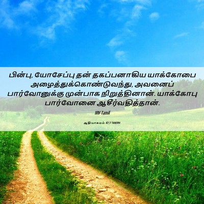 Picture 06 - ஆதியாகமம் 47:7 TAMIRV - பின்பு, யோசேப்பு - Bible Verse Picture