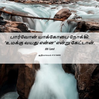 Picture 06 - ஆதியாகமம் 47:8 TAMIRV - பார்வோன் யாக்கோபை - Bible Verse Picture