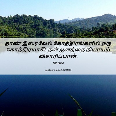 Picture 06 - ஆதியாகமம் 49:16 TAMIRV - தாண் இஸ்ரவேல் - Bible Verse Picture
