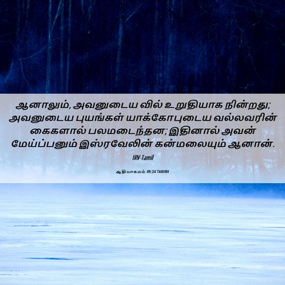 Picture 06 - ஆதியாகமம் 49:24 TAMIRV - ஆனாலும், அவனுடைய - Bible Verse Picture