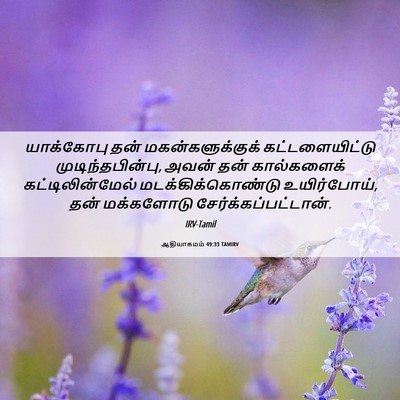 Picture 06 - ஆதியாகமம் 49:33 TAMIRV - யாக்கோபு தன் - Bible Verse Picture
