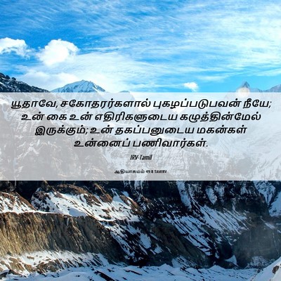 Picture 06 - ஆதியாகமம் 49:8 TAMIRV - யூதாவே, - Bible Verse Picture