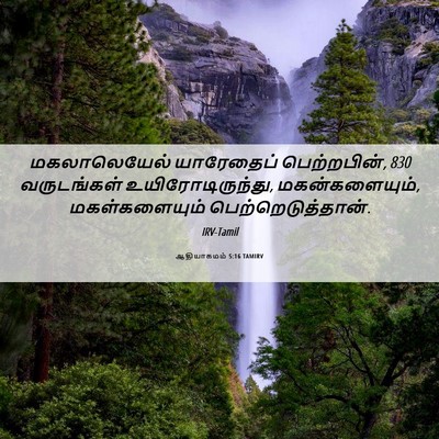 Picture 06 - ஆதியாகமம் 5:16 TAMIRV - மகலாலெயேல் - Bible Verse Picture