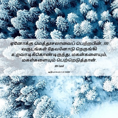 Picture 06 - ஆதியாகமம் 5:22 TAMIRV - ஏனோக்கு - Bible Verse Picture