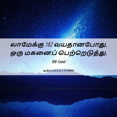 Picture 06 - ஆதியாகமம் 5:28 TAMIRV - லாமேக்கு 182 - Bible Verse Picture