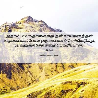 Picture 06 - ஆதியாகமம் 5:3 TAMIRV - ஆதாம் 130 வயதானபோது, - Bible Verse Picture
