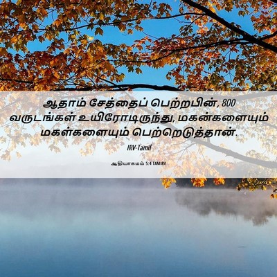 Picture 06 - ஆதியாகமம் 5:4 TAMIRV - ஆதாம் சேத்தைப் - Bible Verse Picture
