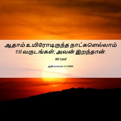 Picture 06 - ஆதியாகமம் 5:5 TAMIRV - ஆதாம் - Bible Verse Picture