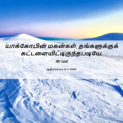 Picture 06 - ஆதியாகமம் 50:12 TAMIRV - யாக்கோபின் - Bible Verse Picture