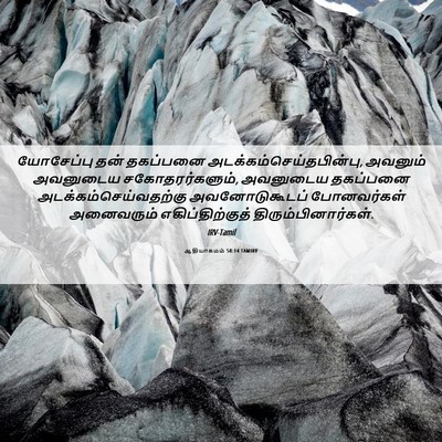 Picture 06 - ஆதியாகமம் 50:14 TAMIRV - யோசேப்பு தன் - Bible Verse Picture