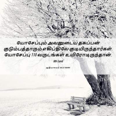 Picture 06 - ஆதியாகமம் 50:22 TAMIRV - யோசேப்பும் - Bible Verse Picture
