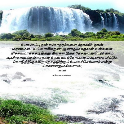Picture 06 - ஆதியாகமம் 50:24 TAMIRV - யோசேப்பு தன் - Bible Verse Picture