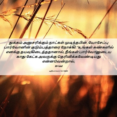 Picture 06 - ஆதியாகமம் 50:4 TAMIRV - துக்கம் - Bible Verse Picture