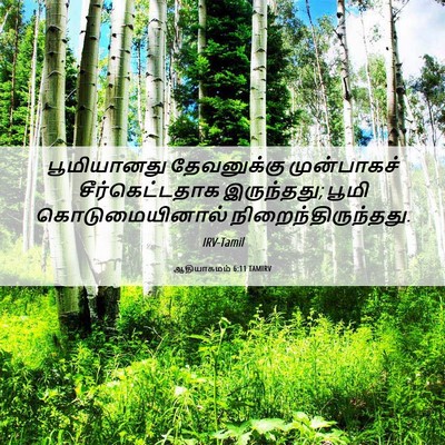 Picture 06 - ஆதியாகமம் 6:11 TAMIRV - பூமியானது - Bible Verse Picture