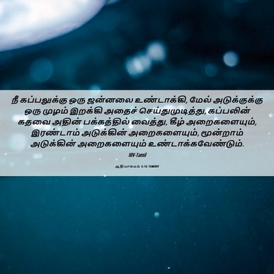 Picture 06 - ஆதியாகமம் 6:16 TAMIRV - நீ கப்பலுக்கு ஒரு - Bible Verse Picture