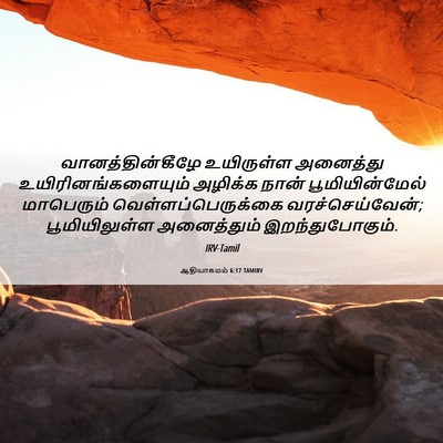 Picture 06 - ஆதியாகமம் 6:17 TAMIRV - வானத்தின்கீழே - Bible Verse Picture