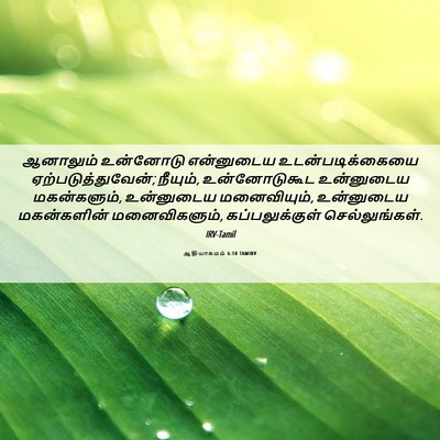 Picture 06 - ஆதியாகமம் 6:18 TAMIRV - ஆனாலும் உன்னோடு - Bible Verse Picture