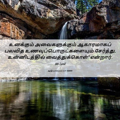 Picture 06 - ஆதியாகமம் 6:21 TAMIRV - உனக்கும் - Bible Verse Picture