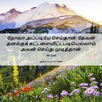 Picture 06 - ஆதியாகமம் 6:22 TAMIRV - நோவா அப்படியே - Bible Verse Picture