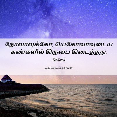 Picture 06 - ஆதியாகமம் 6:8 TAMIRV - நோவாவுக்கோ, - Bible Verse Picture