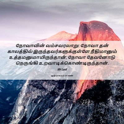 Picture 06 - ஆதியாகமம் 6:9 TAMIRV - நோவாவின் - Bible Verse Picture