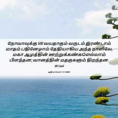 Picture 06 - ஆதியாகமம் 7:11 TAMIRV - நோவாவுக்கு 600 - Bible Verse Picture