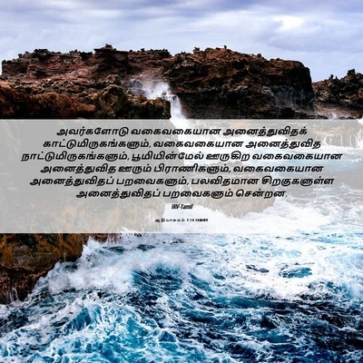 Picture 06 - ஆதியாகமம் 7:14 TAMIRV - அவர்களோடு - Bible Verse Picture