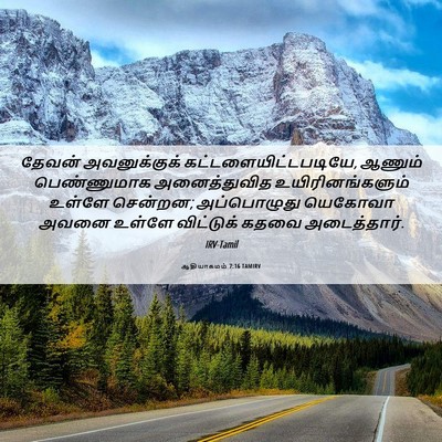 Picture 06 - ஆதியாகமம் 7:16 TAMIRV - தேவன் அவனுக்குக் - Bible Verse Picture