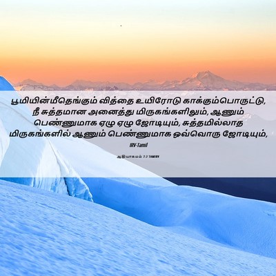 Picture 06 - ஆதியாகமம் 7:2 TAMIRV -  - Bible Verse Picture