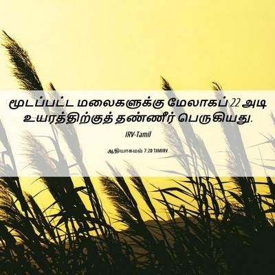 Picture 06 - ஆதியாகமம் 7:20 TAMIRV - மூடப்பட்ட - Bible Verse Picture