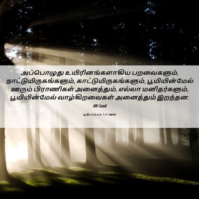 Picture 06 - ஆதியாகமம் 7:21 TAMIRV - அப்பொழுது - Bible Verse Picture